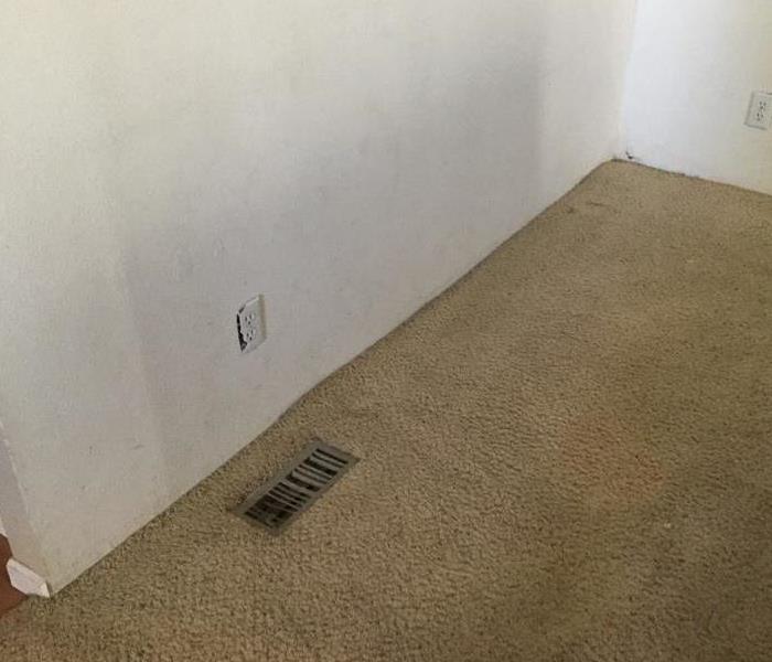 flooring with carpet but no baseboards 