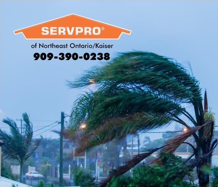Strong Santa Ana winds are shown blowing through palm trees in an urban area of Southern California. 